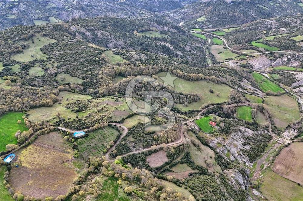 LAPSEKİDE DOĞA İLE İÇ İÇE RESMİ YOLU OLAN 15329 M² ARAZİ