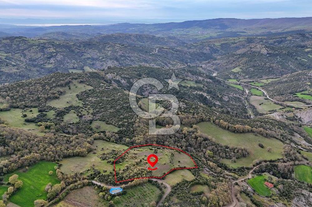 LAPSEKİDE DOĞA İLE İÇ İÇE RESMİ YOLU OLAN 15329 M² ARAZİ