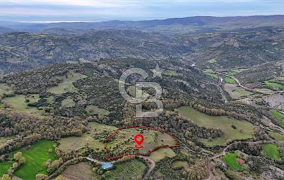 LAPSEKİDE DOĞA İLE İÇ İÇE RESMİ YOLU OLAN 15329 M² ARAZİ