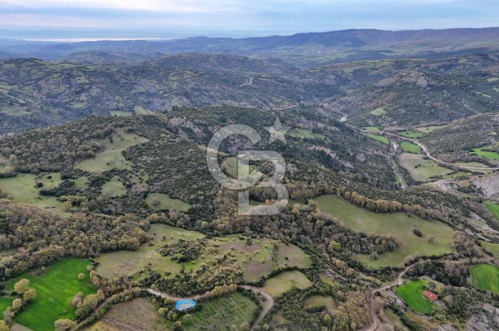 LAPSEKİDE DOĞA İLE İÇ İÇE RESMİ YOLU OLAN 15329 M² ARAZİ