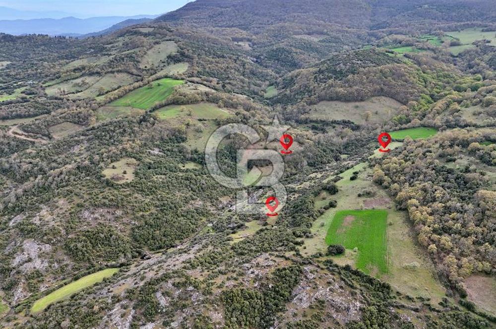 LAPSEKİ KIRCALARDA 2224 M² TARLA