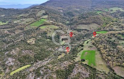 LAPSEKİ KIRCALARDA 2224 M² TARLA