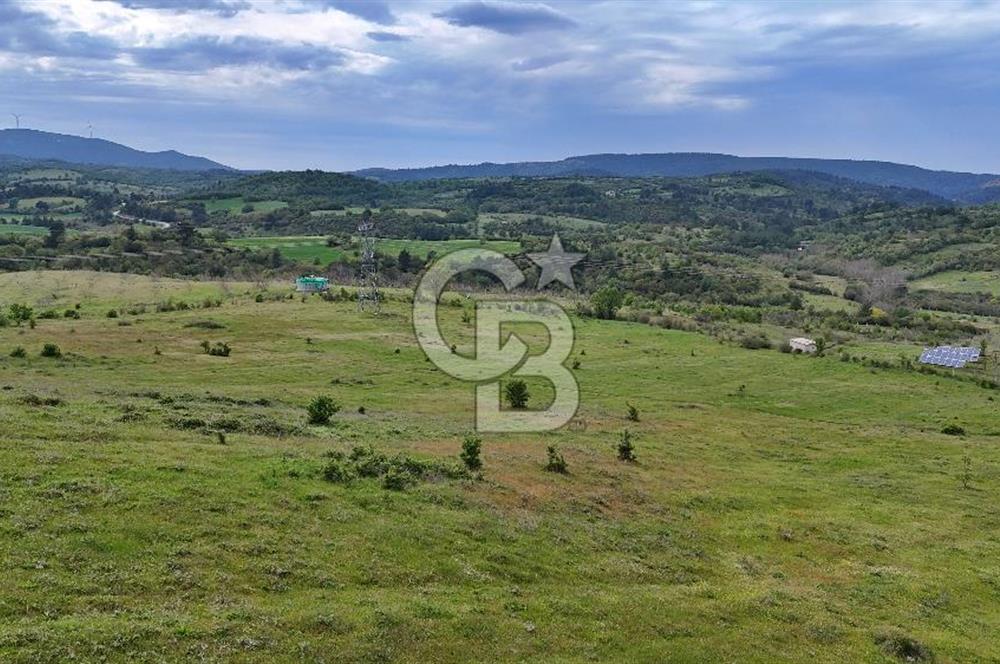 Doğayla iç içe Huzur Dolu Bir Yaşam Arayanlar İçin Eşsiz Fırsat