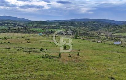 Doğayla iç içe Huzur Dolu Bir Yaşam Arayanlar İçin Eşsiz Fırsat