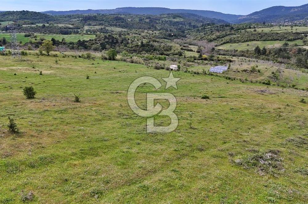 Doğayla iç içe Huzur Dolu Bir Yaşam Arayanlar İçin Eşsiz Fırsat