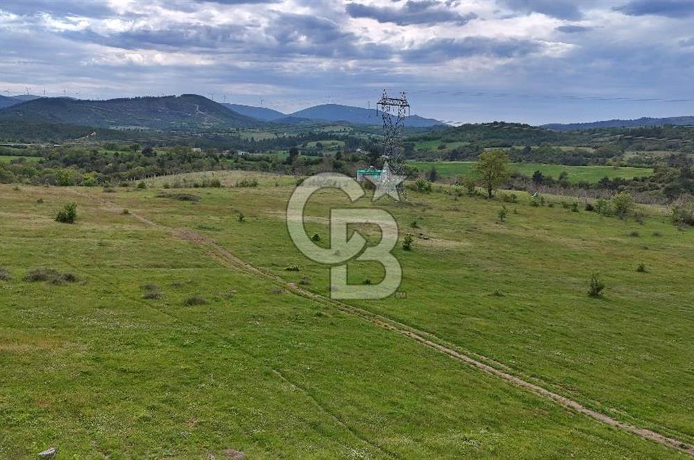 Doğayla iç içe Huzur Dolu Bir Yaşam Arayanlar İçin Eşsiz Fırsat