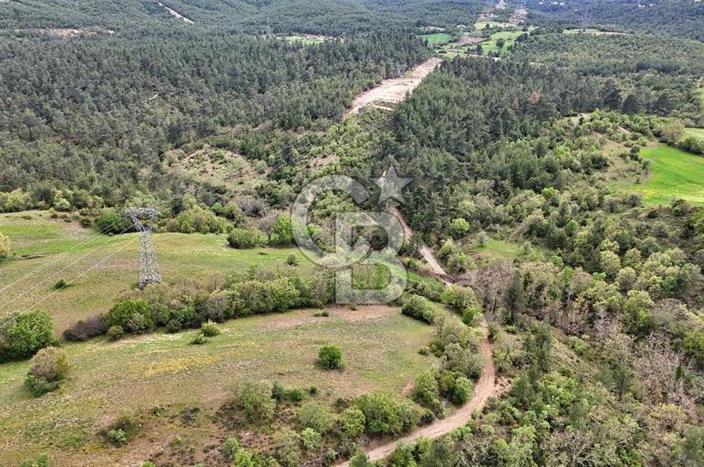 Doğayla iç içe Huzur Dolu Bir Yaşam Arayanlar İçin Eşsiz Fırsat