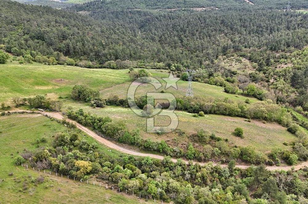 Doğayla iç içe Huzur Dolu Bir Yaşam Arayanlar İçin Eşsiz Fırsat