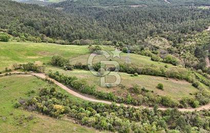 Doğayla iç içe Huzur Dolu Bir Yaşam Arayanlar İçin Eşsiz Fırsat
