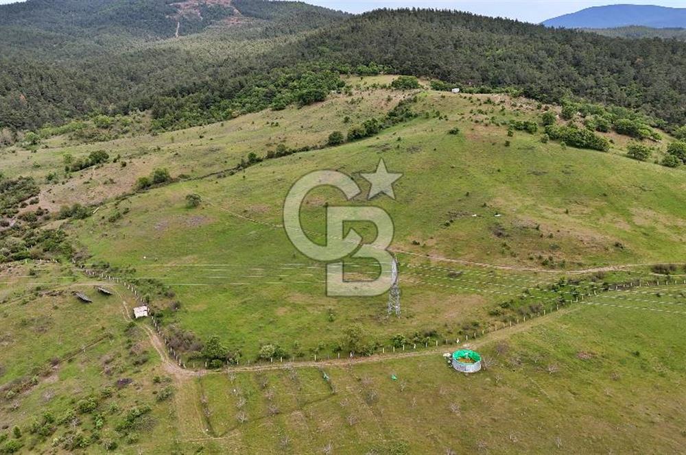 Doğayla iç içe Huzur Dolu Bir Yaşam Arayanlar İçin Eşsiz Fırsat