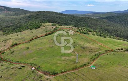 Doğayla iç içe Huzur Dolu Bir Yaşam Arayanlar İçin Eşsiz Fırsat