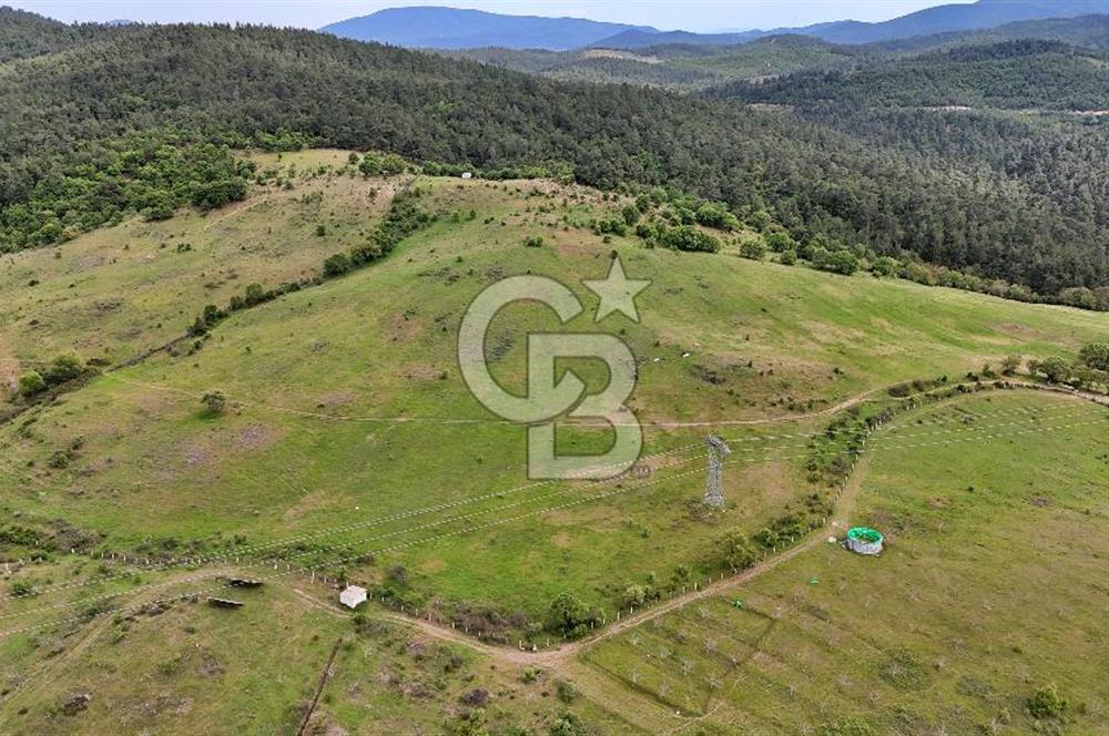 Doğayla iç içe Huzur Dolu Bir Yaşam Arayanlar İçin Eşsiz Fırsat