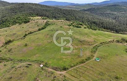 Doğayla iç içe Huzur Dolu Bir Yaşam Arayanlar İçin Eşsiz Fırsat
