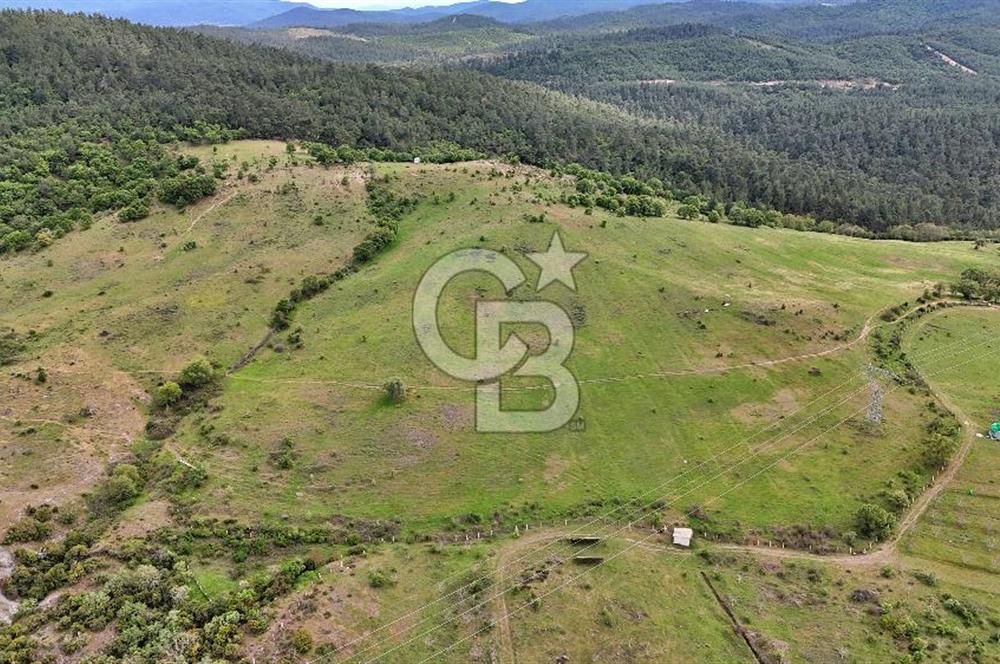 Doğayla iç içe Huzur Dolu Bir Yaşam Arayanlar İçin Eşsiz Fırsat