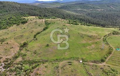 Doğayla iç içe Huzur Dolu Bir Yaşam Arayanlar İçin Eşsiz Fırsat