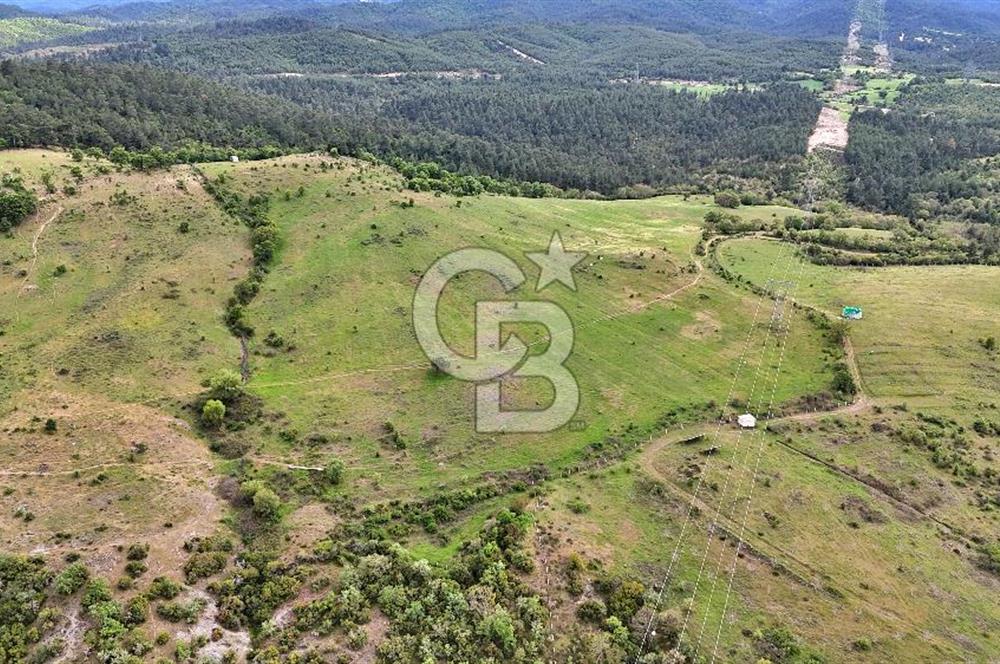 Doğayla iç içe Huzur Dolu Bir Yaşam Arayanlar İçin Eşsiz Fırsat