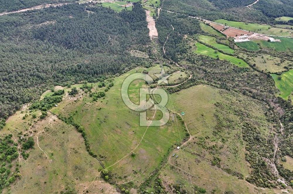 Doğayla iç içe Huzur Dolu Bir Yaşam Arayanlar İçin Eşsiz Fırsat