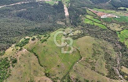 Doğayla iç içe Huzur Dolu Bir Yaşam Arayanlar İçin Eşsiz Fırsat