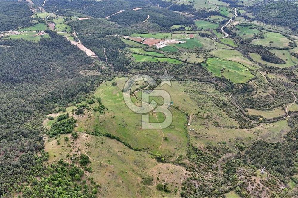 Doğayla iç içe Huzur Dolu Bir Yaşam Arayanlar İçin Eşsiz Fırsat