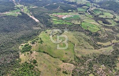Doğayla iç içe Huzur Dolu Bir Yaşam Arayanlar İçin Eşsiz Fırsat