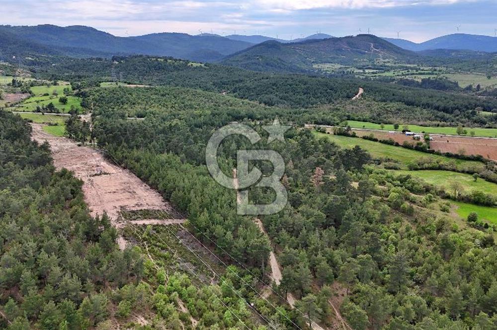 Doğayla iç içe Huzur Dolu Bir Yaşam Arayanlar İçin Eşsiz Fırsat