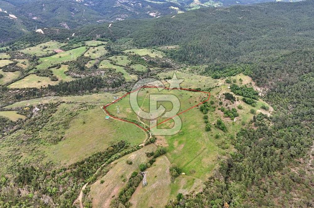 Doğayla iç içe Huzur Dolu Bir Yaşam Arayanlar İçin Eşsiz Fırsat