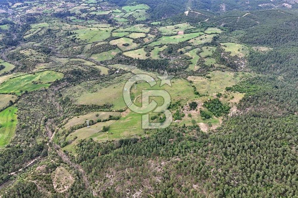 Doğayla iç içe Huzur Dolu Bir Yaşam Arayanlar İçin Eşsiz Fırsat