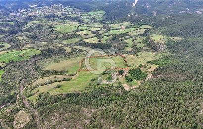 Doğayla iç içe Huzur Dolu Bir Yaşam Arayanlar İçin Eşsiz Fırsat