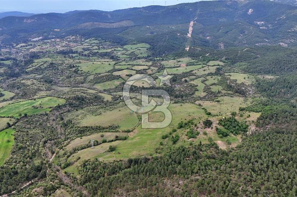 Doğayla iç içe Huzur Dolu Bir Yaşam Arayanlar İçin Eşsiz Fırsat