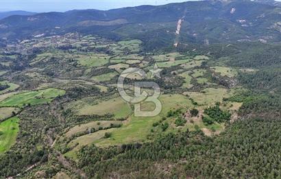 Doğayla iç içe Huzur Dolu Bir Yaşam Arayanlar İçin Eşsiz Fırsat