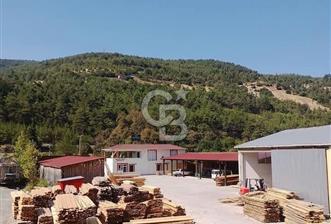SİNOP DİKMEN'DE ANA YOLA CEPHELİ SATILIK KERESTE FABRİKASI