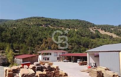 SİNOP DİKMEN'DE ANA YOLA CEPHELİ SATILIK KERESTE FABRİKASI