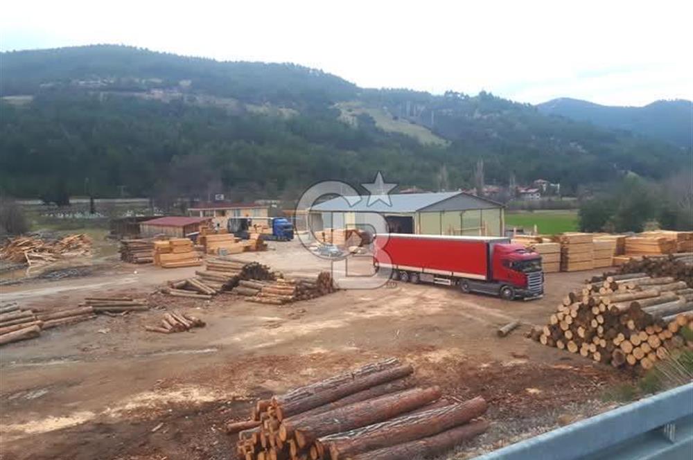 SİNOP DİKMEN'DE ANA YOLA CEPHELİ SATILIK KERESTE FABRİKASI