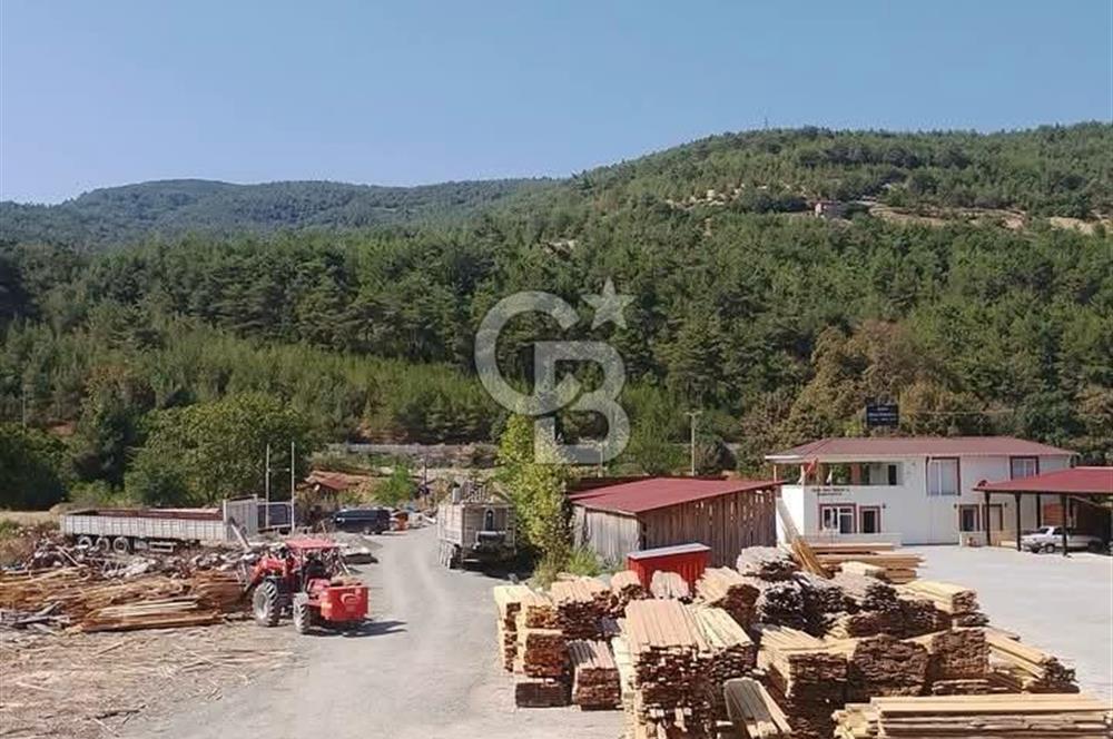 SİNOP DİKMEN'DE ANA YOLA CEPHELİ SATILIK KERESTE FABRİKASI