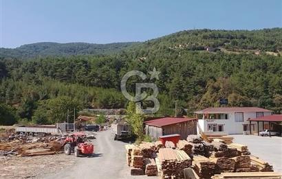 SİNOP DİKMEN'DE ANA YOLA CEPHELİ SATILIK KERESTE FABRİKASI