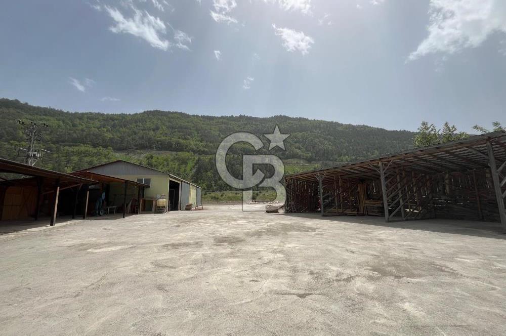 SİNOP DİKMEN'DE ANA YOLA CEPHELİ SATILIK KERESTE FABRİKASI