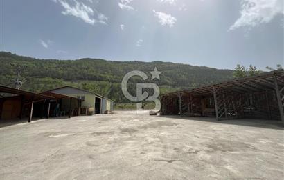 SİNOP DİKMEN'DE ANA YOLA CEPHELİ SATILIK KERESTE FABRİKASI