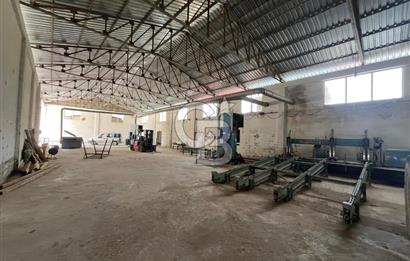 SİNOP DİKMEN'DE ANA YOLA CEPHELİ SATILIK KERESTE FABRİKASI