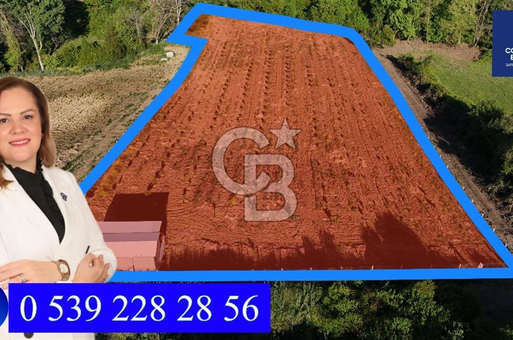 Yalova Altınova da İmar Sınırına yakın Satılık Arsa