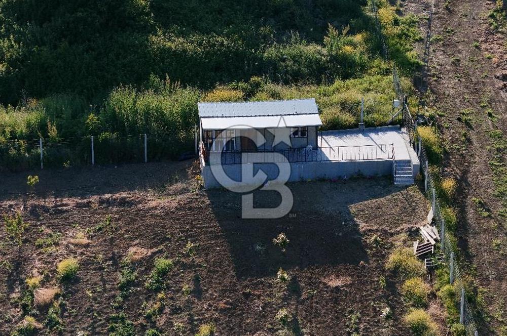 Yalova Altınova da İmar Sınırına yakın Satılık Arsa