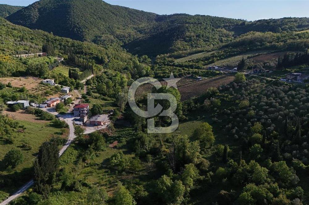 Yalova Altınova da İmar Sınırına yakın Satılık Arsa