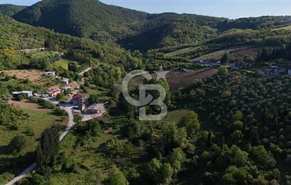 Yalova Altınova da İmar Sınırına yakın Satılık Arsa
