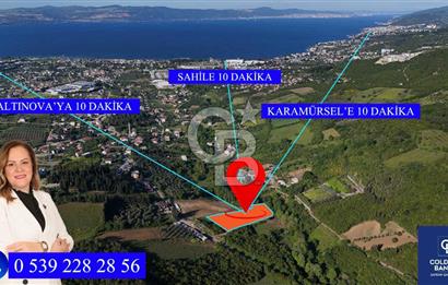 Yalova Altınova da İmar Sınırına yakın Satılık Arsa