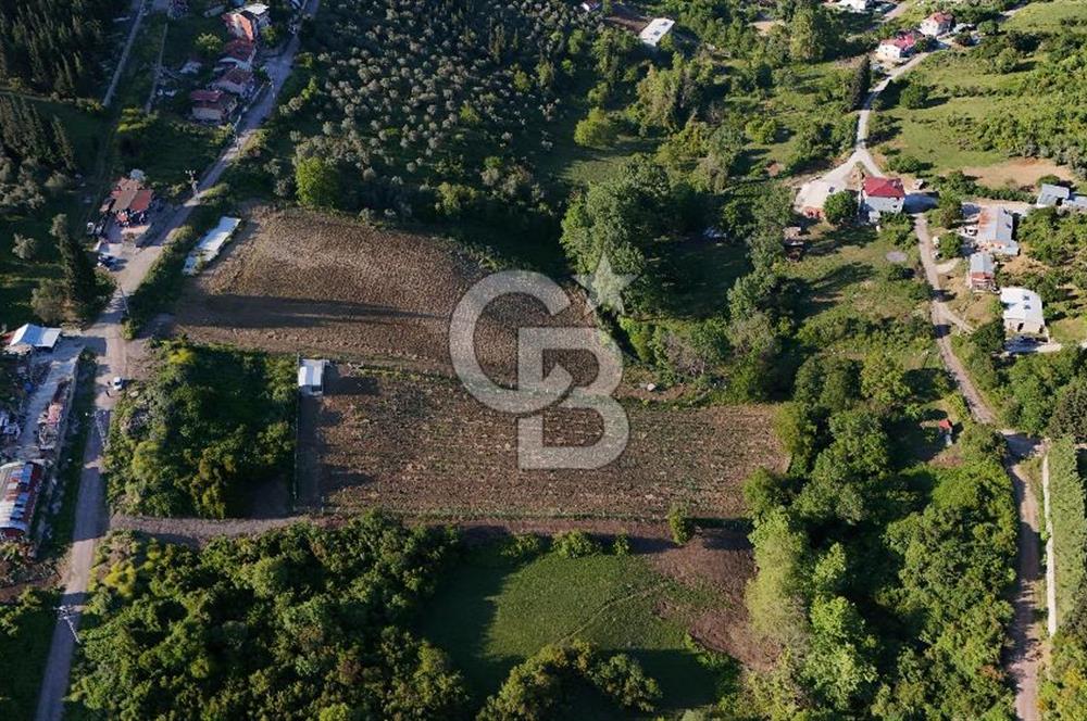 Yalova Altınova da İmar Sınırına yakın Satılık Arsa