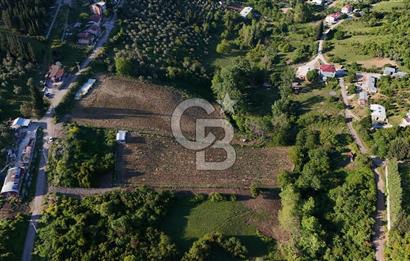 Yalova Altınova da İmar Sınırına yakın Satılık Arsa