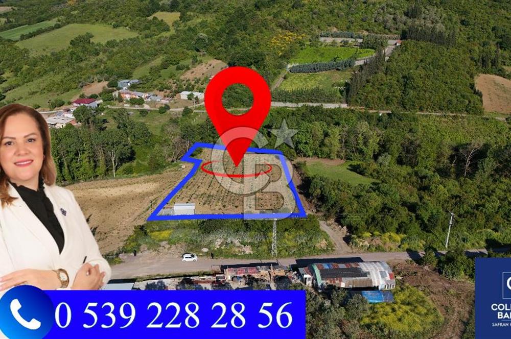 Yalova Altınova da İmar Sınırına yakın Satılık Arsa