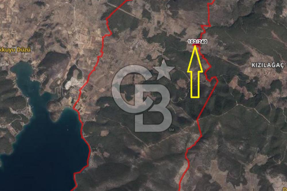 Muğla Milas Gürçamlarda Satılık Kooperatif Hissesi