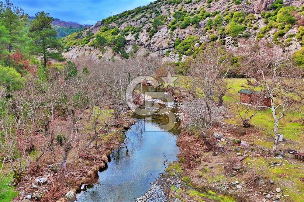 LAPSEKİ KOCABAŞLARDA ASFALATA CEPHE 10 DÖNÜM TARLA