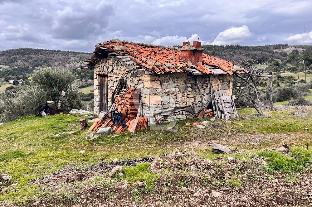 LAPSEKİ KOCABAŞLARDA ASFALATA CEPHE 10 DÖNÜM TARLA