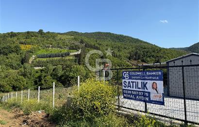 Yalova Altınova da İmar Sınırına yakın Satılık Arsa